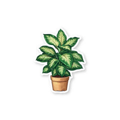 Houseplant