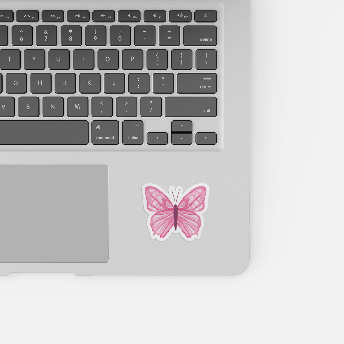 Pink Butterfly