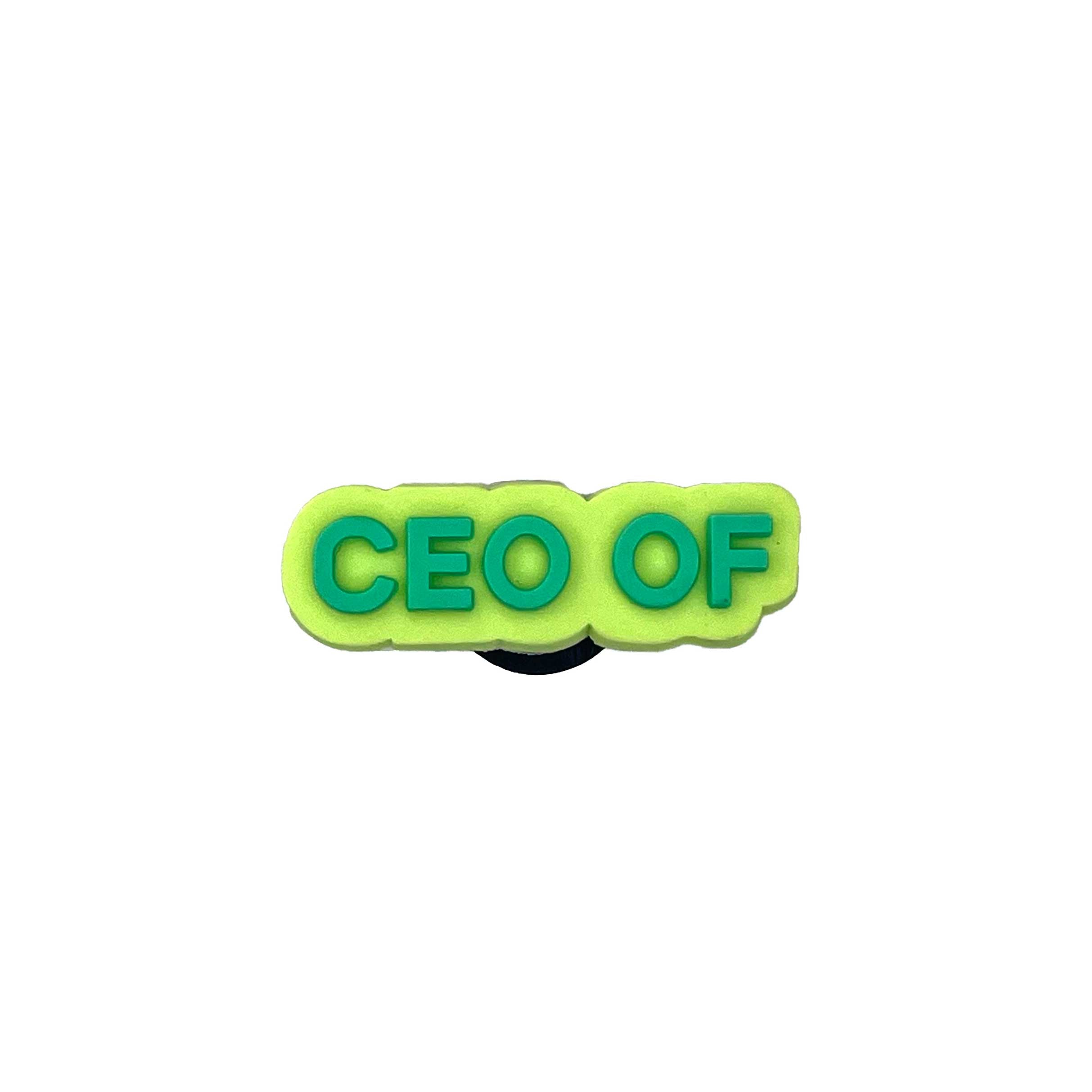 CEO of